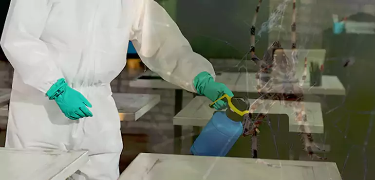 Why Buyers Still Want Homes With Pest Infestations in Sunrise Manor, NV?