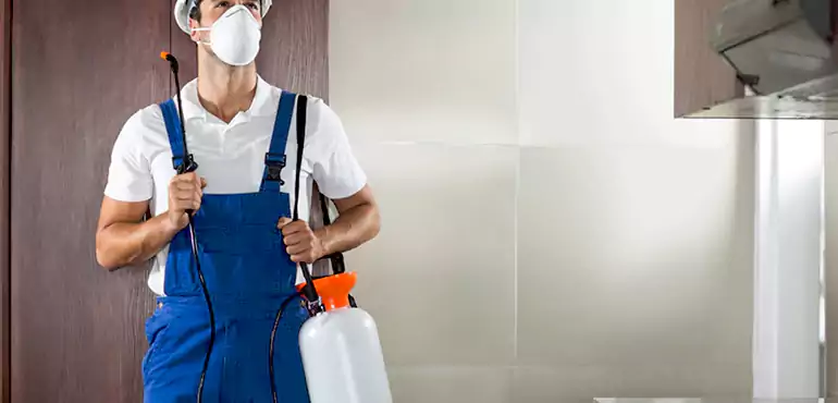 Why Sunrise Manor Homeowners Choose Us When Pests Make Selling Difficult